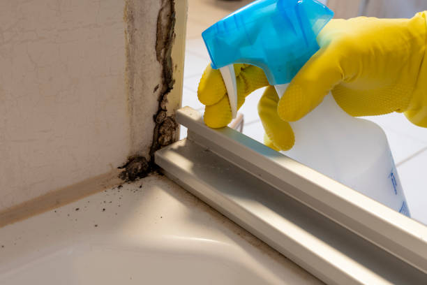 Best Mold Testing  in Glyndon, MN